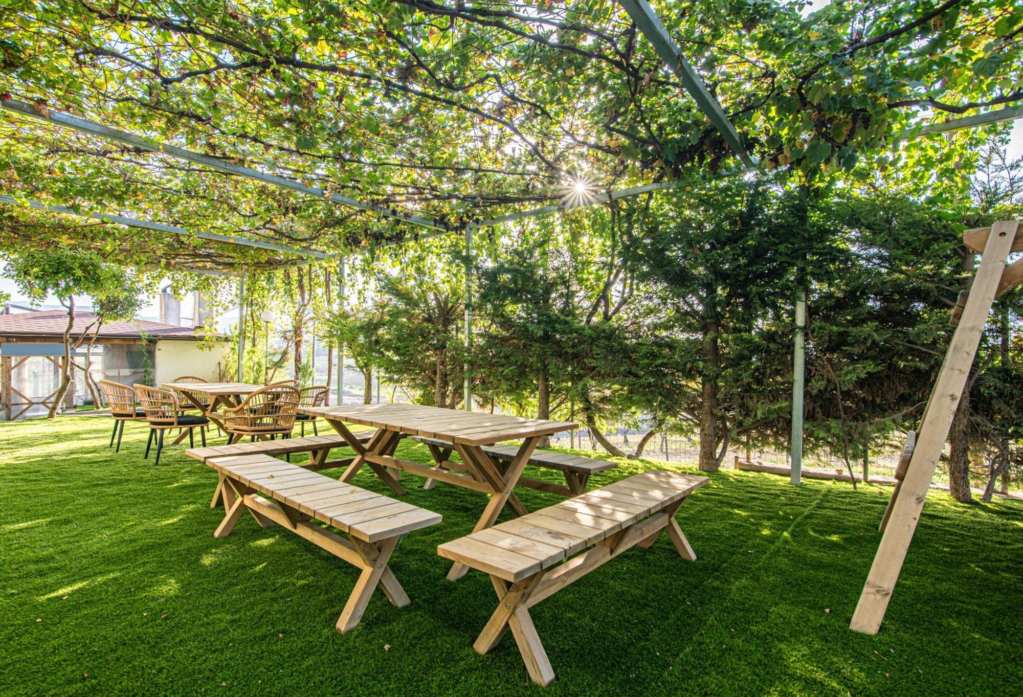 Mirtilo Apartment Oinofyta Zewnętrze zdjęcie