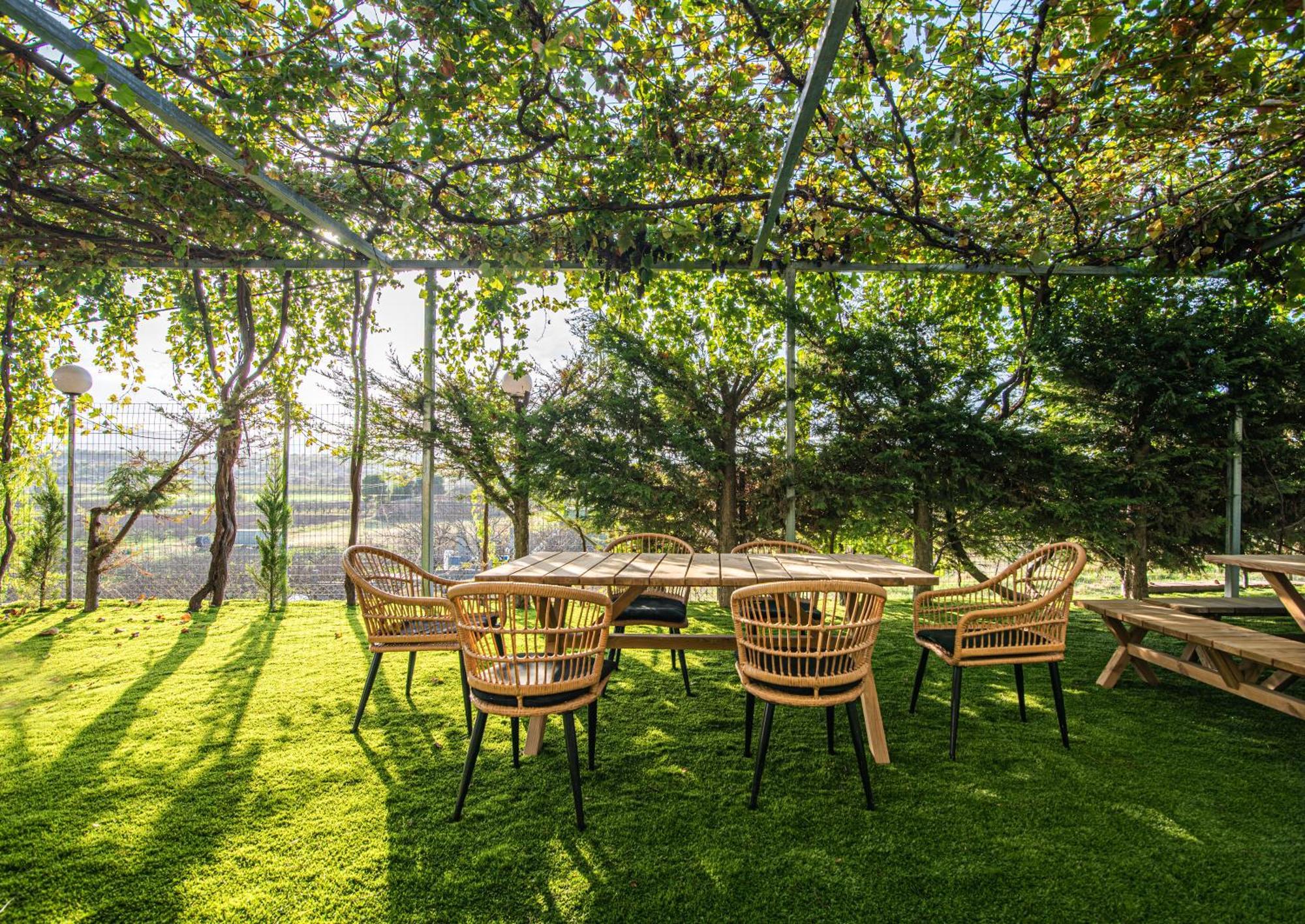 Mirtilo Apartment Oinofyta Zewnętrze zdjęcie